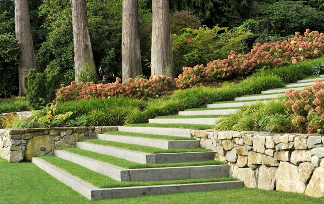 landscape architecture garden