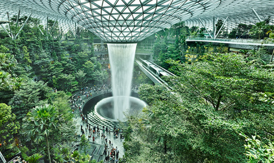 Landscape as Architecture in Peter Walker’s Projects