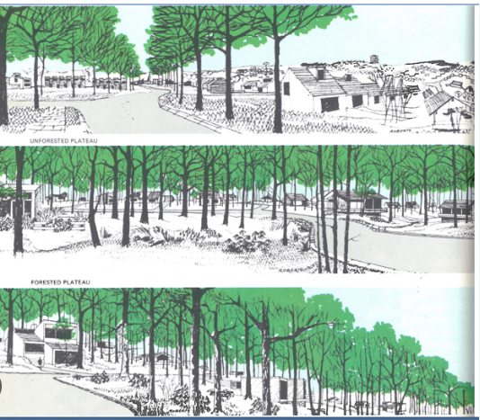 Design with Nature Explained