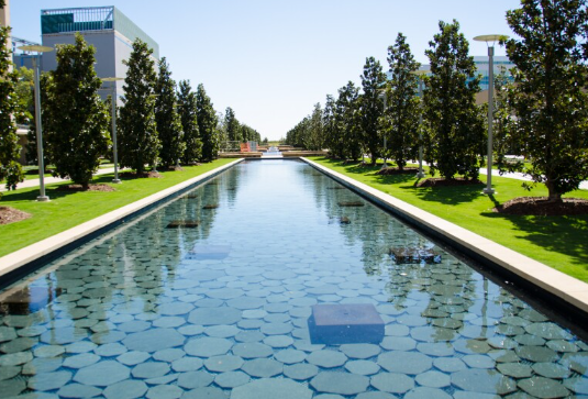 Corporate Landscapes Designed by Peter Walker