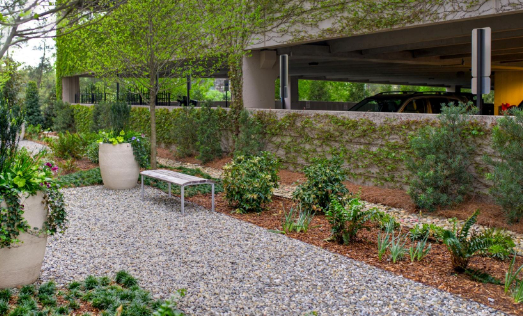 Minimalism and Precision in Landscape Design