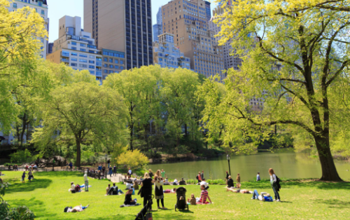 Olmsted’s Impact on Modern Landscape Architecture