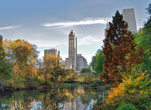 Central Park and Olmsted’s Landscape Vision