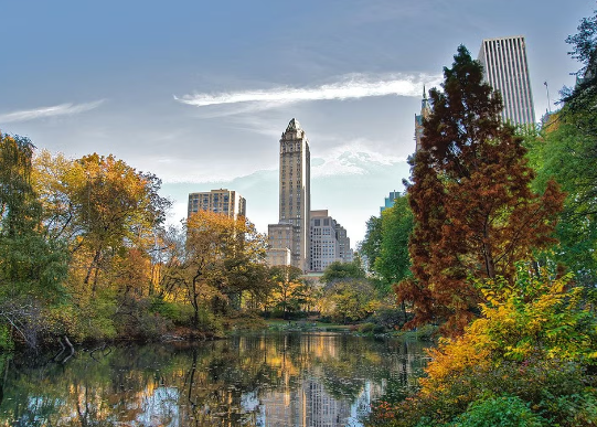 Frederick Law Olmsted and the Idea of Scenic Beauty