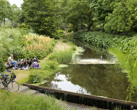 Human Experience in Gustafson’s Landscapes