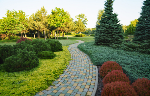 Landscape Design Beyond Aesthetics