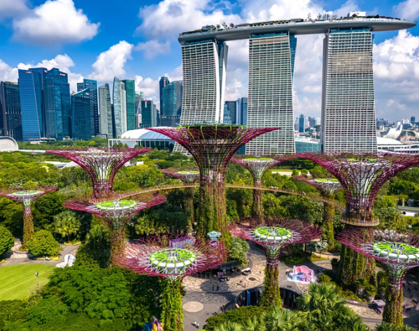 Landscape Architecture in Dense Cities