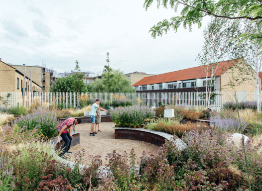 Landscape Architecture as Sensory Experience