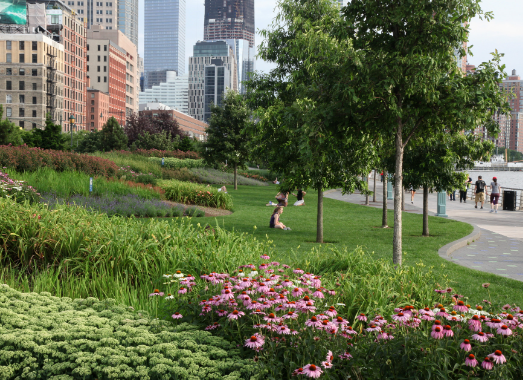 Landscape Architects and Climate Resilience