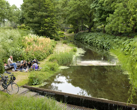 Kathryn Gustafson and the Poetry of Water