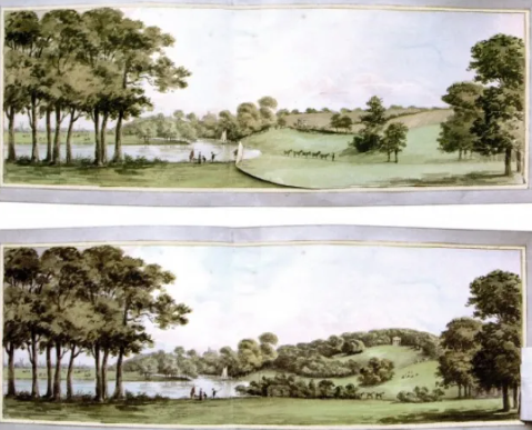 How Theory Shapes Landscape Practice