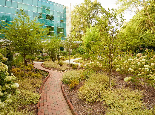 Landscape Design as a Tool for Urban Healing