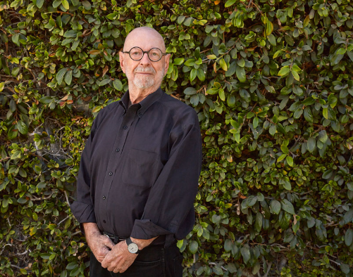 Peter Walker and the Discipline of Landscape Form