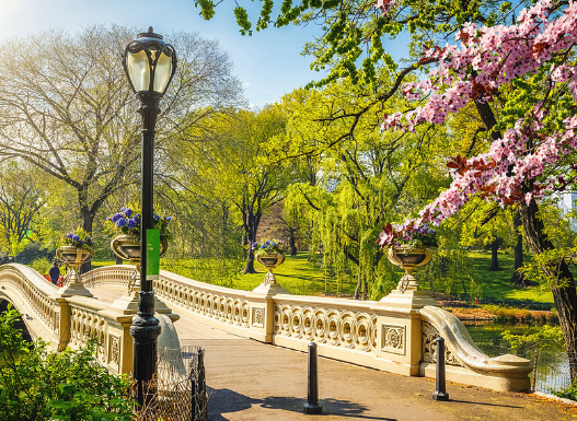 The Design Philosophy of Frederick Law Olmsted