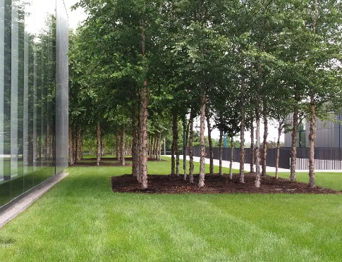 Michael Van Valkenburgh projects
