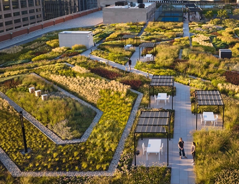 Michael Van Valkenburgh public space design