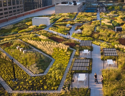 Michael Van Valkenburgh landscape strategy