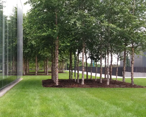 Michel Desvigne architecture and landscape
