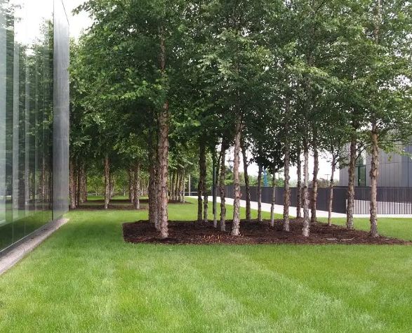 Michel Desvigne landscape infrastructure