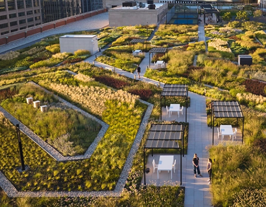 Michel Desvigne landscape strategy