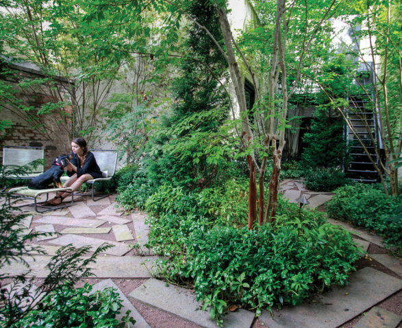 Michael Van Valkenburgh sustainable landscape design