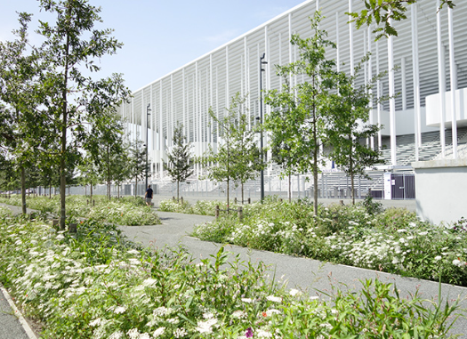Michel Desvigne garden design