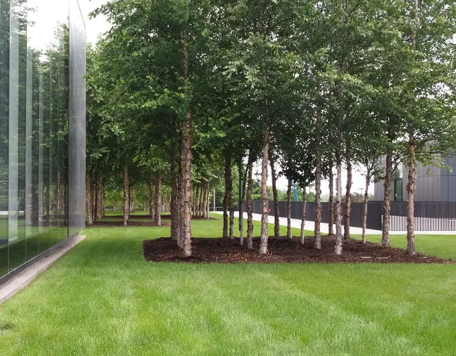 Michel Desvigne urban forest design