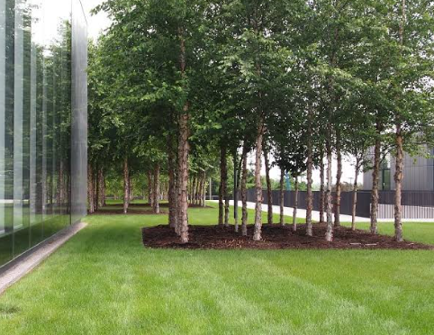 Michel Desvigne European landscape architecture
