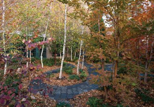 Michael Van Valkenburgh contemporary landscape architecture